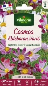 Cosmos Aldebaran